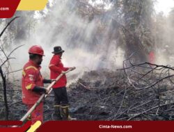 Kebakaran Lahan Aceh Selatan Meluas ke 23 Hektare, Manggala Agni Siaga