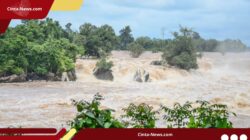 Banjir Bandang Sapu Hengzhou, Ratusan Ular Berbisa Lolos dari Penangkaran