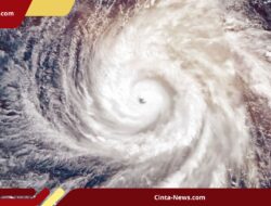 Topan Bavi Terjang China, Jumlah Pengungsi Tembus 1,7 Juta Orang