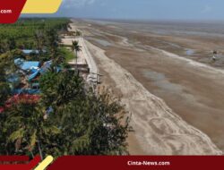Mengancam Pemukiman, Abrasi di Merauke Capai 100 Meter, PU Siapkan Anggaran Rp8 M