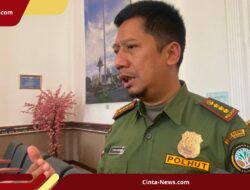 BTNGM Tak Mau Korbankan Keselamatan, 67 Pendaki Ilegal Ditindak dan Patroli Digencarkan