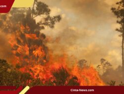 Peningkatan Karhutla di Kalimantan Selatan, BNPB Mulai Modifikasi Cuaca Selama 7 Hari
