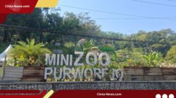 Proyek Mini Zoo Purworejo Senilai Rp 9,69 Miliar Kini Mangkrak, Tiga Tersangka Korupsi Ditahan