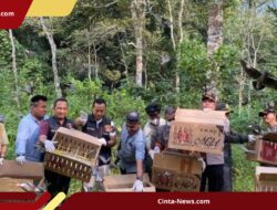 Sukses Gagalkan Penyelundupan, 977 Burung Kembali ke Habitat Alami di Gunung Rajabasa