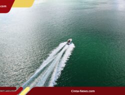 Speedboat Bawa 11 Turis Asing Hilang di Teluk Tomini, Pencarian Ditunda Akibat Cuaca Buruk