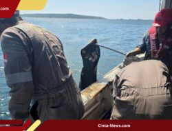 6 Ton Minyak Tumpah di Semau, Pembersihan Masih Terus Digencarkan