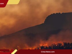 Musim Kebakaran Terparah di Washington: 1.000 Titik Api dan Ratusan Hektare Lahan Terbakar