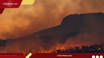 Musim Kebakaran Terparah di Washington: 1.000 Titik Api dan Ratusan Hektare Lahan Terbakar