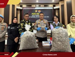 593 Kg Sisik dan Kuku Trenggiling Diamankan, 2 Tersangka Terancam Hukuman 15 Tahun Penjara