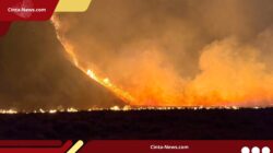 Kebakaran Hutan Meluas, Kawasan Bromo Resmi Ditutup; Pengelola Siapkan Skema Refund