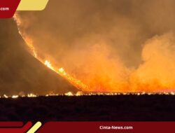 Kebakaran Hutan Meluas, Kawasan Bromo Resmi Ditutup; Pengelola Siapkan Skema Refund
