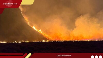 Kebakaran Hutan Meluas, Kawasan Bromo Resmi Ditutup; Pengelola Siapkan Skema Refund