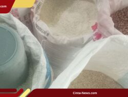 Lonjakan Harga Beras di Sikka Capai Rp 16.000 per Kilogram, Warga Keluhkan Beban Belanja