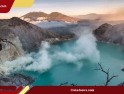 DAMRI Resmi Layani Rute Banyuwangi-Jember ke Kawah Ijen, Tarif Mulai Rp 20.000
