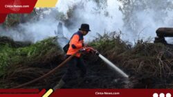 Kemenhut Periksa 4 Perusahaan di Kalbar, Ini Langkah Antisipasi Karhutla Jelang Kemarau