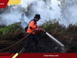 Kemenhut Periksa 4 Perusahaan di Kalbar, Ini Langkah Antisipasi Karhutla Jelang Kemarau