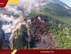 TNGGP Perpanjang Penutupan Gunung Gede, Jalur Pendakian Masih Dievaluasi