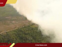Musim Kemarau Picu Kebakaran Gambut 50 Hektare di Kukar, Ratusan Warga Mengungsi