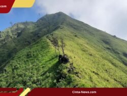Gunung Lincing Tutup Akibat Karhutla, Tiket Pendakian Bisa Dijadwalkan Ulang