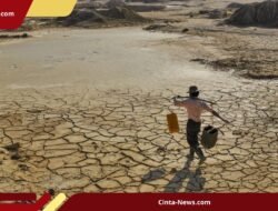 Lebih dari 3 Bulan Kemarau, Bantul dan Gunungkidul Paling Terdampak