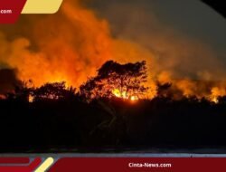 Kapal Amfibi dan Helikopter CH-47 Dikerahkan Jepang Bantu Padamkan Api di Kalimantan