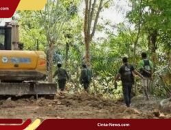 Penggerebekan di TNBBS: 40 Hektare Zona Inti Dialihfungsikan Jadi Kebun Sawit dan Kopi