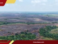 Api Padam, Pendinginan dan Pemantauan Intensif Dilanjutkan di TN Way Kambas