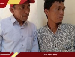 Petani Kopi Jolotigo Mengeluh: Kemarau dan Minim Air Bikin Panen Merosot