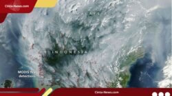 Satelit NASA Deteksi Ribuan Titik Panas di Kalimantan, Asap Menyebar hingga Malaysia
