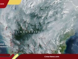 Satelit NASA Deteksi Ribuan Titik Panas di Kalimantan, Asap Menyebar hingga Malaysia