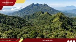 Dua Petisi Lawan Proyek Panas Bumi Gunung Ungaran Kumpulkan Ribuan Dukungan