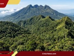 Dua Petisi Lawan Proyek Panas Bumi Gunung Ungaran Kumpulkan Ribuan Dukungan