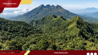 Dua Petisi Lawan Proyek Panas Bumi Gunung Ungaran Kumpulkan Ribuan Dukungan
