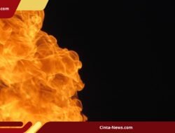 Ledakan di Pangkalan Militer Bolivia: 2 Tewas, 14 Prajurit Hilang dan Penyelidikan Diluncurkan