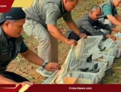 198 Burung Tanpa Dokumen Disita BKSDA Jambi, Sebagian Besar Jenis Cica Dilindungi