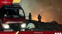 Kebakaran Lahan 2,2 Hektare di Punclut, Petugas Diskarmatan Bandung Berkejaran dengan Waktu