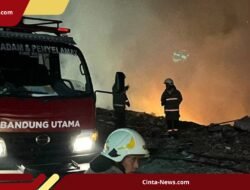 Kebakaran Lahan 2,2 Hektare di Punclut, Petugas Diskarmatan Bandung Berkejaran dengan Waktu