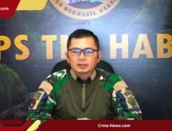 TNI Ungkap Kronologi Sopir Logistik yang Tewas dan Dibakar KKB di Wamena