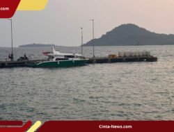Tawaran Jepang Upgrade Pelabuhan Natuna: Langkah Ekonomi atau Taktik Geopolitik?
