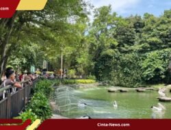 Usulan Tarif Masuk Ragunan Naik Jadi Rp10.000, Pramono Anung Tegaskan Segera Putuskan