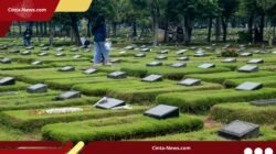 Belum Punya TPU Resmi, Kabupaten Magelang Targetkan Penyediaan Lahan Makam di 3 Wilayah