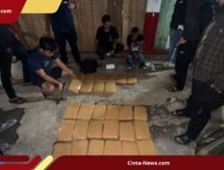 Sita 30 Kg Ganja di Agam, BNNP Ungkap Keterlibatan Narapidana Kendalikan Pasokan