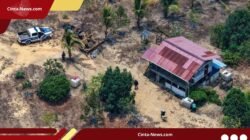 Otorita IKN Temukan 36 Persen Kawasan Tahura Bukit Soeharto Terambah Secara Ilegal
