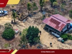 Otorita IKN Temukan 36 Persen Kawasan Tahura Bukit Soeharto Terambah Secara Ilegal