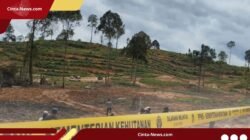 Jaksa Tuntut Pembabat Hutan Lindung Balikpapan 8 Tahun Bui dan Ganti Rugi Rp 297 M