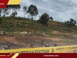Jaksa Tuntut Pembabat Hutan Lindung Balikpapan 8 Tahun Bui dan Ganti Rugi Rp 297 M