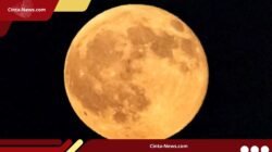 Fenomena Harvest Moon Tidak Memicu Gempa dan Erupsi, tetapi Ancam Pasang Laut Tinggi