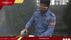 Tak Sesuai Aturan Pabean, 58 unit iPhone Bawaan Penumpang Dimusnahkan Bea Cukai