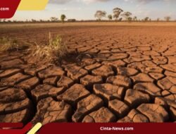 Ancaman El Nino hingga 2027, Musim Hujan Sulawesi Selatan Diprediksi Masuk Bertahap