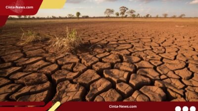 Ancaman El Nino hingga 2027, Musim Hujan Sulawesi Selatan Diprediksi Masuk Bertahap